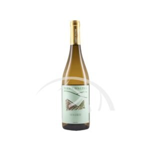 Terra D'alter Viognier - Vinho Branco